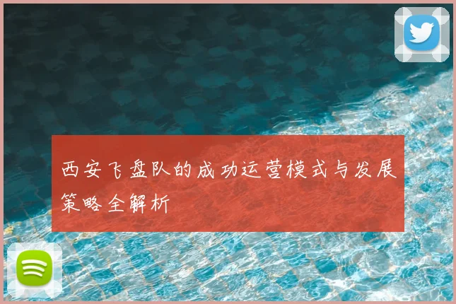 西安飞盘队的成功运营模式与发展策略全解析