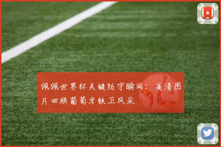 佩佩世界杯关键防守瞬间：高清图片回顾葡萄牙铁卫风采