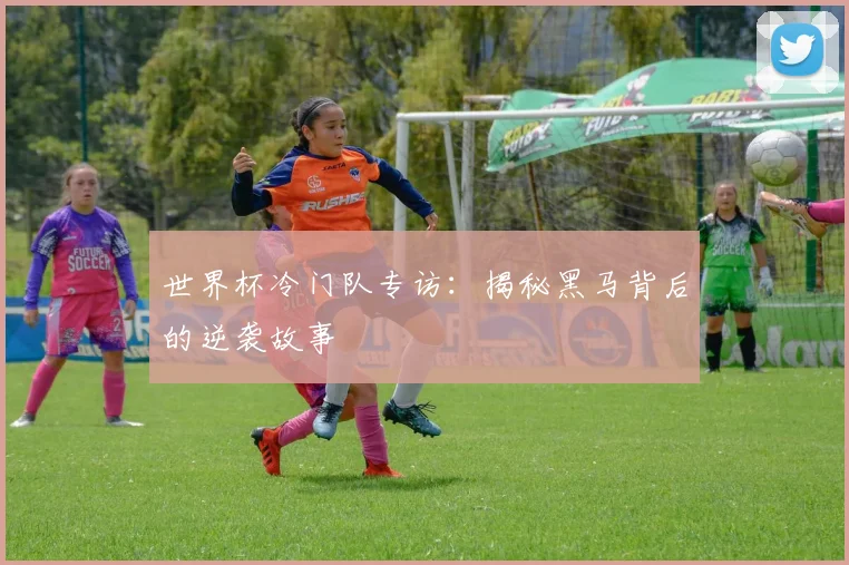 世界杯冷门队专访：揭秘黑马背后的逆袭故事