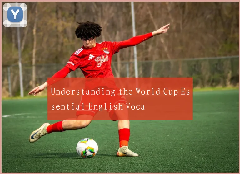 Understanding the World Cup Essential English Voca