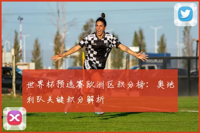 世界杯预选赛欧洲区积分榜:奥地利队关键积分解析
