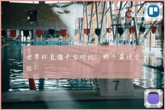 世界杯直播平台对比：哪个最适合你？