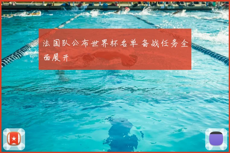 法国队公布世界杯名单 备战任务全面展开