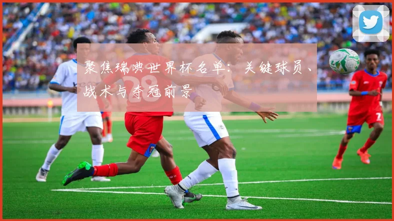 聚焦瑞典世界杯名单：关键球员、战术与夺冠前景