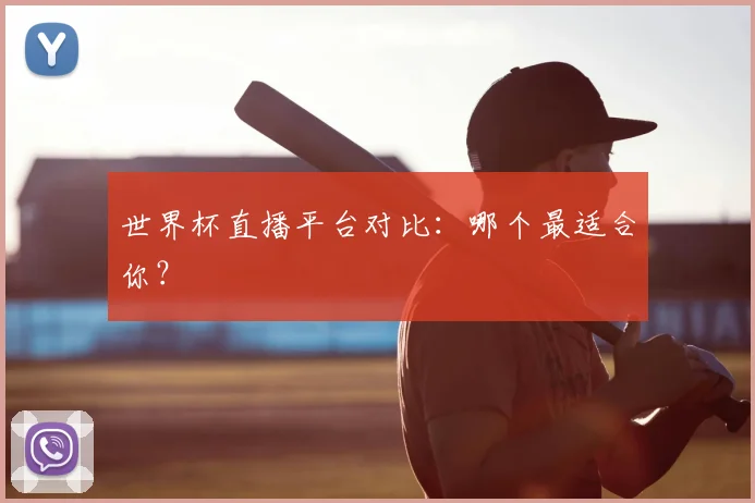 世界杯直播平台对比：哪个最适合你？
