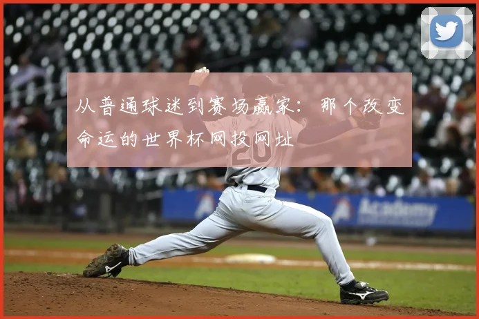 从普通球迷到赛场赢家：那个改变命运的世界杯网投网址
