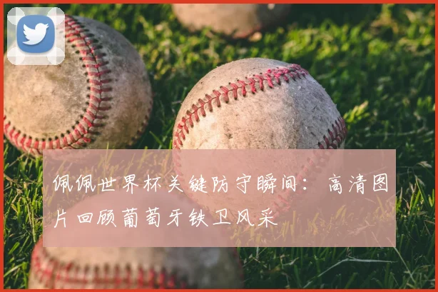 佩佩世界杯关键防守瞬间：高清图片回顾葡萄牙铁卫风采