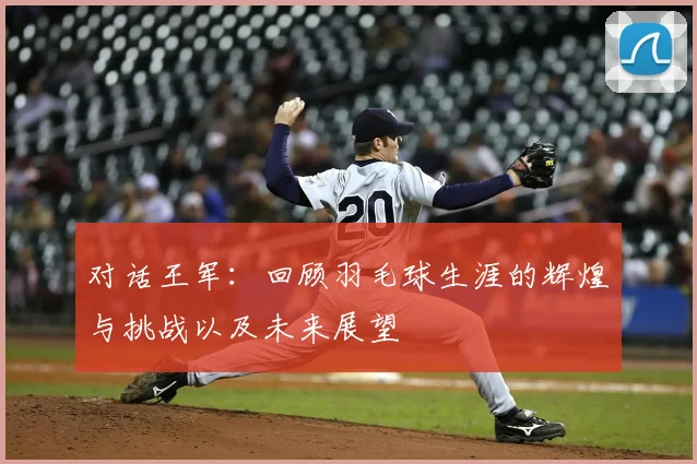 对话王军：回顾羽毛球生涯的辉煌与挑战以及未来展望