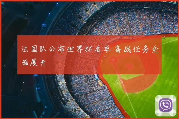 法国队公布世界杯名单 备战任务全面展开