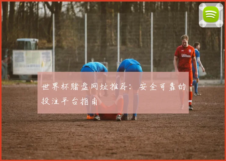 世界杯赌盘网址推荐：安全可靠的投注平台指南