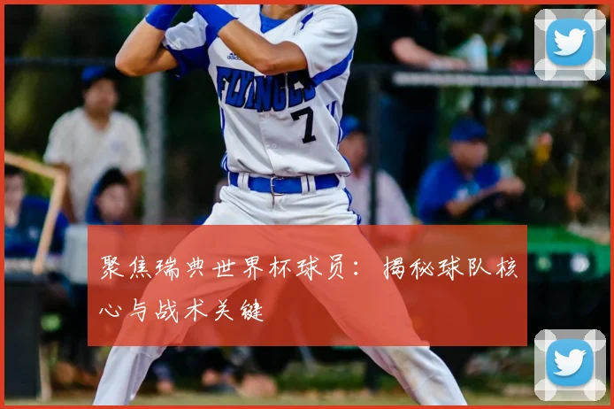聚焦瑞典世界杯球员：揭秘球队核心与战术关键