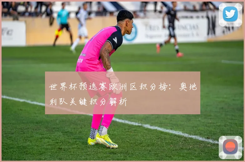 世界杯预选赛欧洲区积分榜：奥地利队关键积分解析