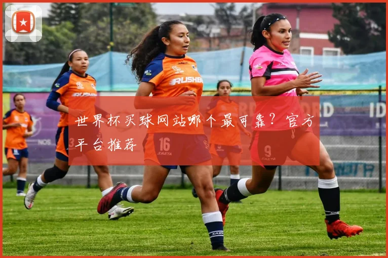 世界杯买球网站哪个最可靠？官方平台推荐