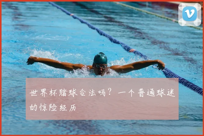 世界杯赌球合法吗？一个普通球迷的惊险经历