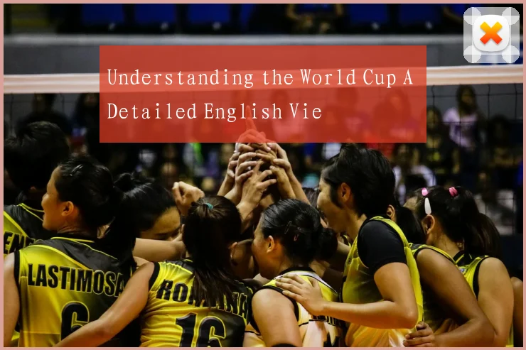 Understanding the World Cup A Detailed English Vie